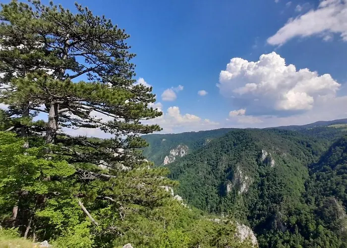 Orion-tara 바이나 바슈타