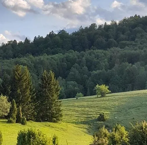 Orion-tara 아파트 바이나 바슈타