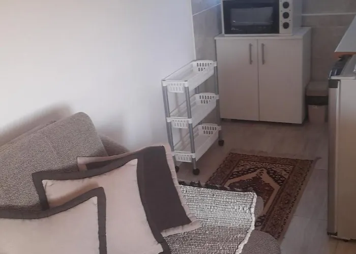 Orion-tara * 바이나 바슈타