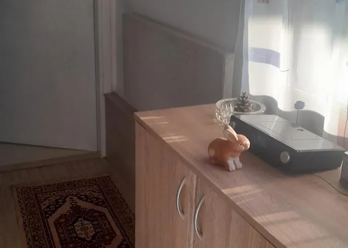 Orion-tara * 바이나 바슈타